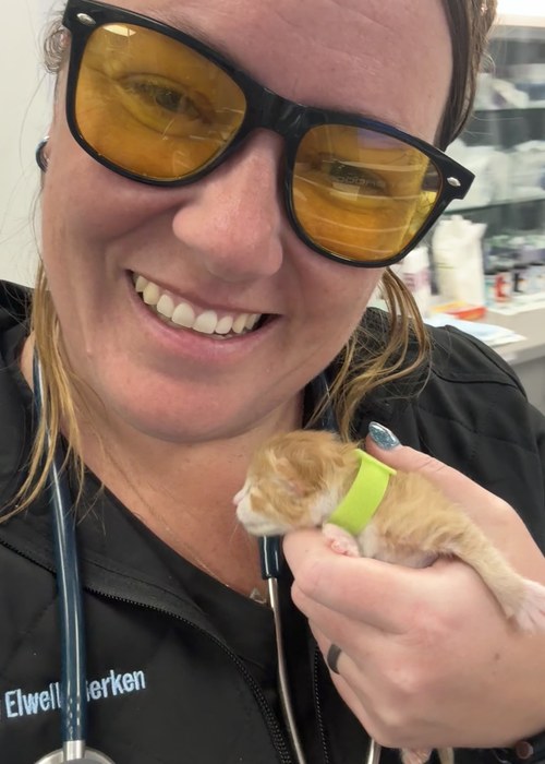Dr Jenny Elwell-Gerken